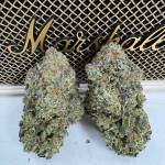 Ka ở Đà Lạt, Lâm Đồng - Tìm ons