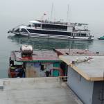 Đào hợp ở Ngô Quyền, Hải Phòng - Thích mqh kín đao