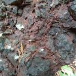 cuong ở Ba Đình, Hà Nội - ky si , tinh cam