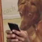 Nguyễn Gia ở Bình Thạnh, TP Hồ Chí Minh - Gg