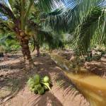 Vũ Lâm ở Ninh Kiều, Cần Thơ - Anh sẽ cho em sex một cách hoa