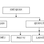 deth ở Nha Trang, Khánh Hòa - nhu cầu cao