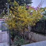 Trần Đức ở Quận 7, TP Hồ Chí Minh - Chần thành