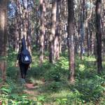 kết bạn neuyeuthinoiluondi cùng tìm người yêu