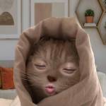 Quốc Khải ở Cái Bè, Tiền Giang - Phù hợp là ok