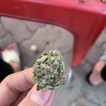 Nguyễn hoà ở Hạ Long, Quảng Ninh - Vui tính