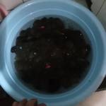 Dương ở Cái Bè, Tiền Giang - Hoa đông vui tính