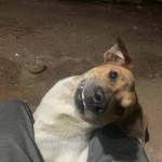 Nghĩa ở Vĩnh Cửu, Đồng Nai - Mình 30t cần tìm bạn tình nữ z