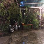 Nguyen Lia ở Hải Châu, Đà Nẵng - Friendwhithbenefit