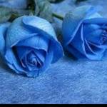 Tiến tìm bạn đời sau ly hôn