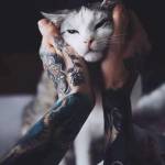 Codonleloi ở Vinh, Nghệ An - Chào nhưng cố gái xinh đẹp