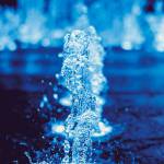 Tùng oki ở Bắc Ninh, Bắc Ninh - cao nhưng hơi đen