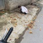 Tien ở Mỹ Đức, Hà Nội - Cô đơn