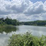 HAO NGO ở Hà Đông, Hà Nội - 2k3