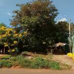 Điền Nguyễn - tim ban trai da ly hon qua so dien thoai