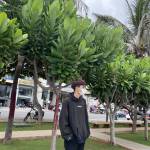 Lợi ở Xuyên Mộc, Bà Rịa - Vũng Tàu - M70 18cm khoảng 30p ra vẫn làm