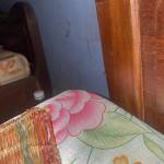 Huon ở An Dương, Hải Phòng - Giầu