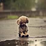 Hùng ở Vũng Tàu, Bà Rịa - Vũng Tàu - Nam cần tìm nữ