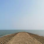 Nguyễn Min ở Thanh Trì, Hà Nội - Độc thân