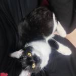 Dũng ở Gò Vấp, TP Hồ Chí Minh - Cao ráo sáng sủa