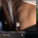 Hoàng Thái ở Long Điền, Bà Rịa - Vũng Tàu - Tớ 2k5