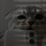 Nhật Hào ở Quận 12, TP Hồ Chí Minh - Ngoại giao tốt,thân thiện,luôn