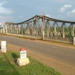 Hoàng anh ở Đắk Mil, Đắk Nông - Vui tính