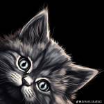 Sơn - tim ban trai da ly hon qua so dien thoai