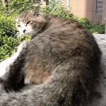 Nam ở Quận 12, TP Hồ Chí Minh - Hi