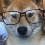 Cao Nhựt Duy tìm nữ FwB trên mạng