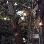 LÊ HẢI ANH ở Bình Thạnh, TP Hồ Chí Minh - NOTHING