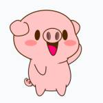 Nam ở Bình Thủy, Cần Thơ - không có nhiều