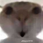 Truong Van ở Đồng Phú, Bình Phước - Konnichiwa