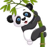 Nguyễn Hùn ở Cà Mau, Cà Mau - Mình ở TP cà mau tìm bạn gái q