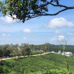 Luân ở Bến Cát, Bình Dương - Muốn tìm bạn hẹn hò