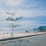 Thủy Tiên - tìm bạn gái đã ly dị chồng