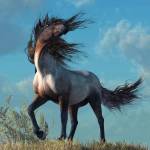 Phong ở TP Yên Bái, Yên Bái - Không cần quá nhiều bạn, tự là