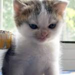 Khôi ở Bến Tre, Bến Tre - Vui vẻ, sạch sẽ