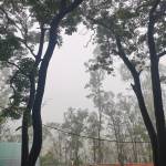 Nứng ở Đông Anh, Hà Nội - Xấu