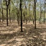 Nguyễn tha ở Thủ Dầu Một, Bình Dương - Là người trầm tính