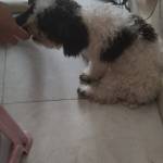 nhat minh ở Long Biên, Hà Nội - hơi mũm mĩm