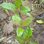 Khánh ở Cầu Giấy, Hà Nội - Hoà đồng, vui vẻ