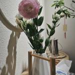 Long ở Kiến An, Hải Phòng - Làm quen nhé