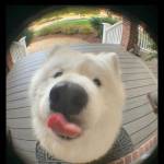 tim ban gay top bot Võ Minh khang