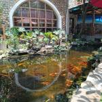 Thiên Ân ở Hải Châu, Đà Nẵng - Cao to mong muốn giải toả cho 