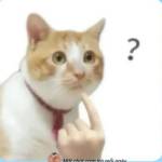 Long ở Bình Thạnh, TP Hồ Chí Minh - Rất răm