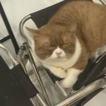 Nam - tim ban trai da ly hon qua so dien thoai