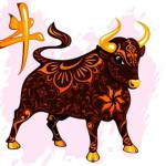 Đỗ Tùng ở Trảng Bom, Đồng Nai - đang sinh sống và làm việc tại