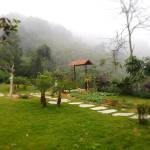 Nguyễn Văn ở Uông Bí, Quảng Ninh - Hiii