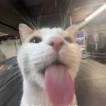 Vo hoang tuan - tim ban trai da ly hon qua so dien thoai